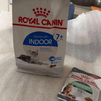 Корм сухой для кошек ROYAL CANIN Indoor 400г пожилых кошек постоянно проживающих в помещении: отзыв пользователя. Зоомагазин Зоозавр