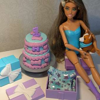 Кукла модельная Barbie Pet Birthday S1: отзыв пользователя Детский Мир