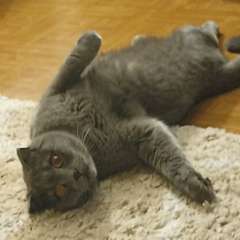 Фото отзыва 10959178