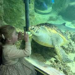 Фото отзыва 11177898