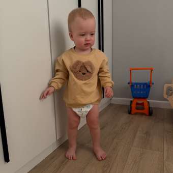 Свитшот BabyGo: отзыв пользователя Детский Мир