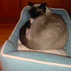 Фото отзыва 10701051