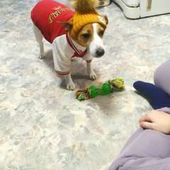 Фото отзыва 10874758