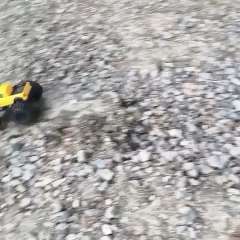 Видео отзыва 11882226