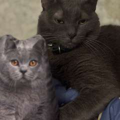 Фото отзыва 10852058