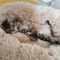 Фото отзыва 9769131