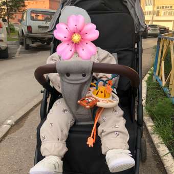 Коляска прогулочная Olsson Roady Grey серый: отзыв пользователя ДетМир