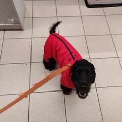 Фото отзыва 10584083