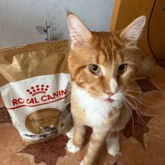 Фото отзыва 10461039