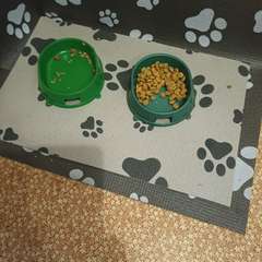 Фото отзыва 10333498