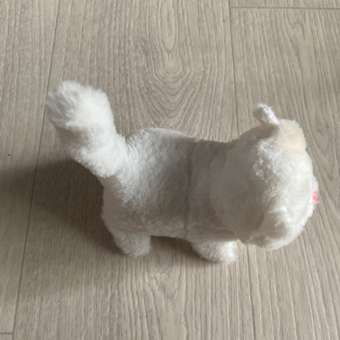 Игрушка мягкая Mioshi котик животные: отзыв пользователя Детский Мир