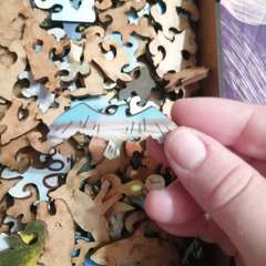 Фото отзыва 10561152