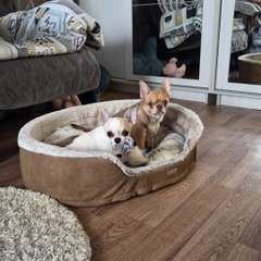 Фото отзыва 11028283