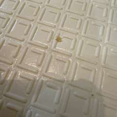 Фото отзыва 11310958