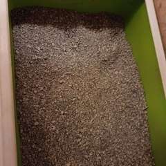 Фото отзыва 11075066