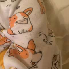 Фото отзыва 10787928