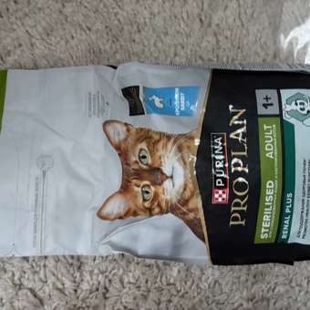 Корм сухой для кошек PRO PLAN RENAL PLUS 1.5 кг с кроликом для стерилизованных: отзыв пользователя. Зоомагазин Зоозавр