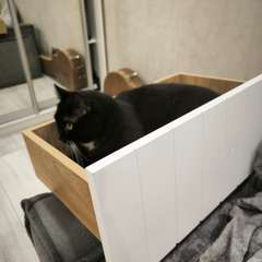 Фото отзыва 10940856