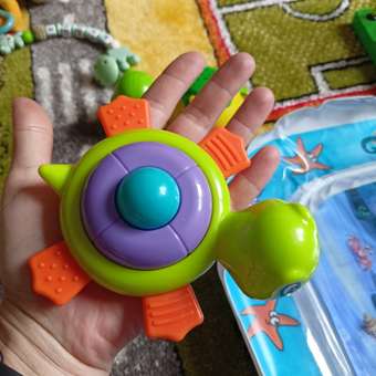 Игрушка BabyGo Черепашка: отзыв пользователя ДетМир