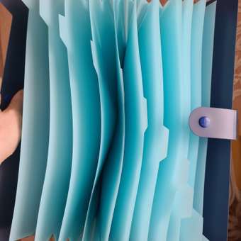 Папка-органайзер Brauberg А4: отзыв пользователя Детский Мир