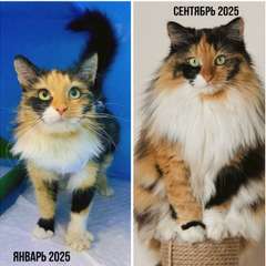 Фото отзыва 10589597