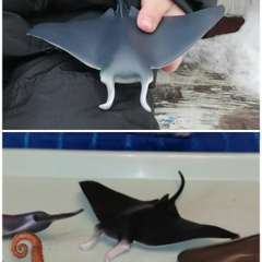 Фото отзыва 3457315