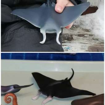 Фигурка Collecta Скат Манта: отзыв пользователя Детский Мир