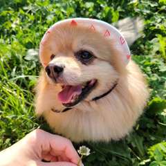 Фото отзыва 9701785