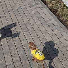 Видео отзыва 11156735