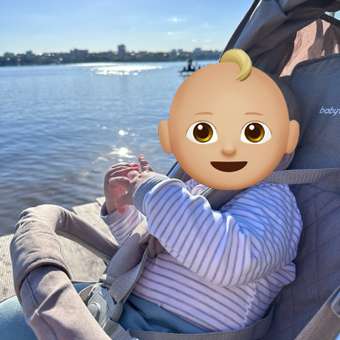 Коляска прогулочная Babyton Sport Brown melange бежевый: отзыв пользователя Детский Мир