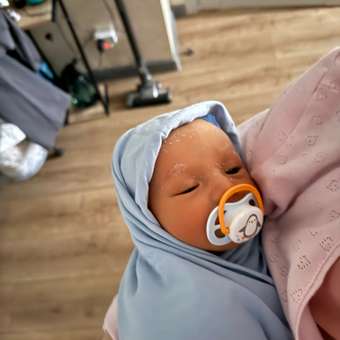 Пустышка Philips Avent силикон от 0 мес. 2 шт.: отзыв пользователя ДетМир