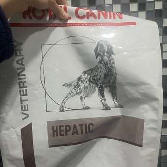 Корм для собак ROYAL CANIN Hepatic HF16 при заболеваниях печени 6кг: отзыв пользователя. Зоомагазин Зоозавр