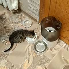 Фото отзыва 10701594