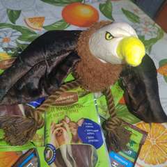 Фото отзыва 10301667