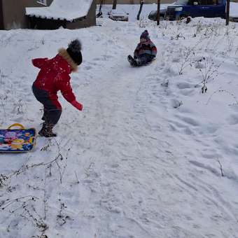 Ледянка NiKA kids 40 см Лунтик: отзыв пользователя ДетМир