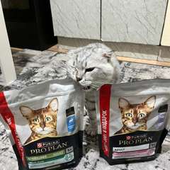 Фото отзыва 10722429