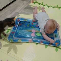 Фото отзыва 11007905