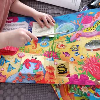 Книга Росмэн Кто где живет Книги с окошками: отзыв пользователя Детский Мир