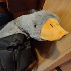 Фото отзыва 4875714