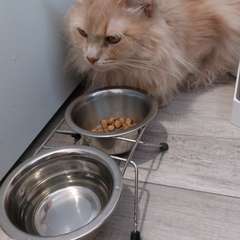 Фото отзыва 10979611