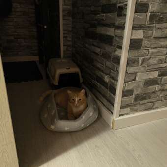 Лежак для собак и кошек PetMil с бортиком Petmil 50х40 см Серая: отзыв пользователя. Зоомагазин Зоозавр