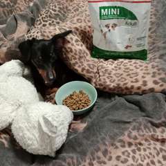 Фото отзыва 10788104