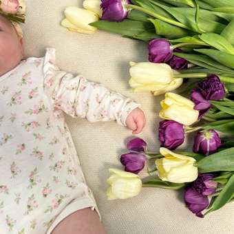 Боди BabyGo: отзыв пользователя Детский Мир