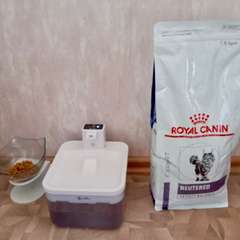 Фото отзыва 11259974