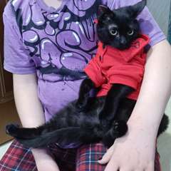 Фото отзыва 10901208