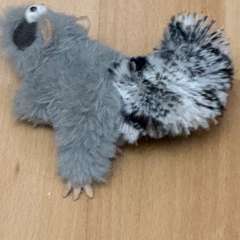 Фото отзыва 10031097