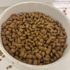 Фото отзыва 10934134