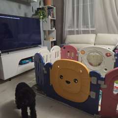 Фото отзыва 11304296