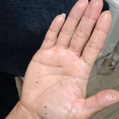 Фото отзыва 10473304