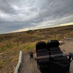 Фото отзыва 10519584